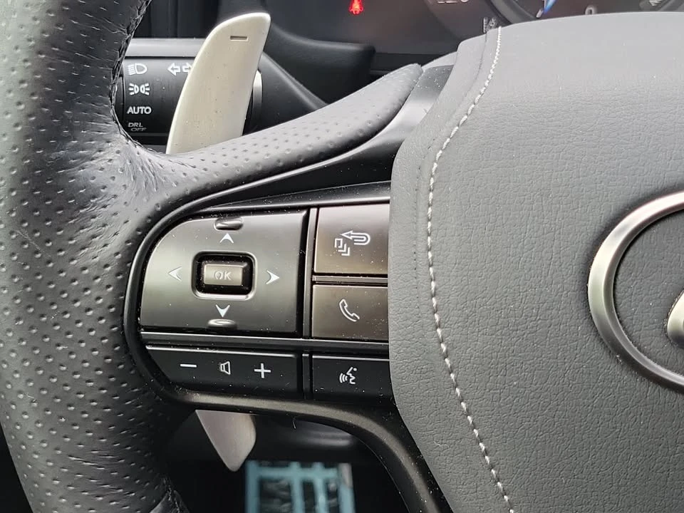 2018 Lexus LC - Image 18 of 18