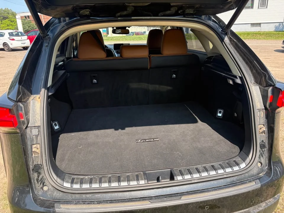 2018 Lexus NX 1st Gen - Image 6 of 13