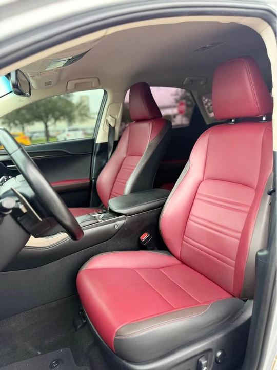 2018 Lexus NX 1st Gen - Image 13 of 20