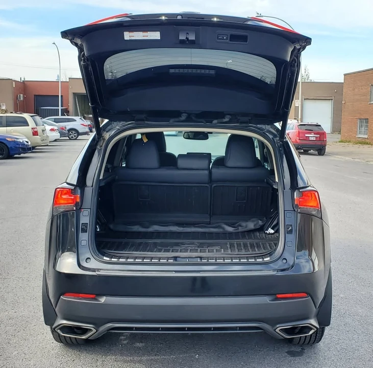 2018 Lexus NX 1st Gen - Image 19 of 19