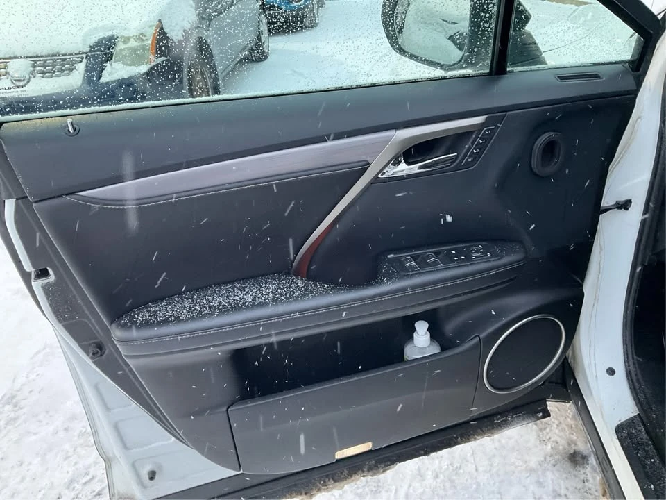 2018 Lexus RX 4th Gen - Image 19 of 20