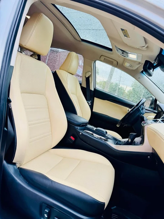 2018 Lexus NX 1st Gen - Image 16 of 19