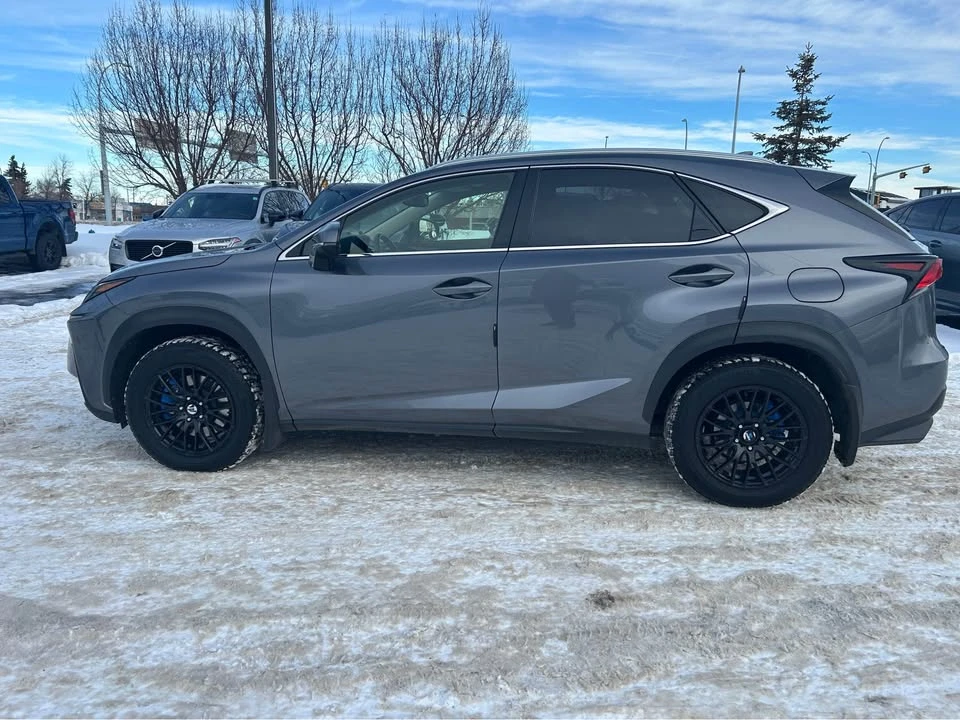 2018 Lexus NX 1st Gen - Image 8 of 11