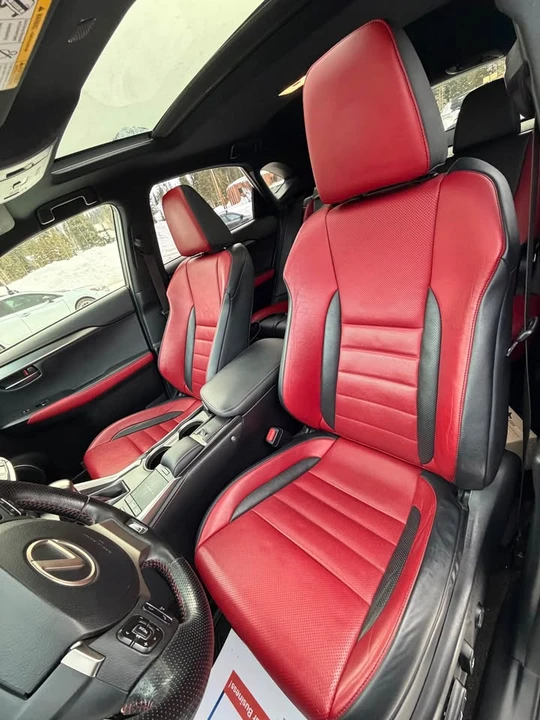 2018 Lexus NX 1st Gen - Image 6 of 14
