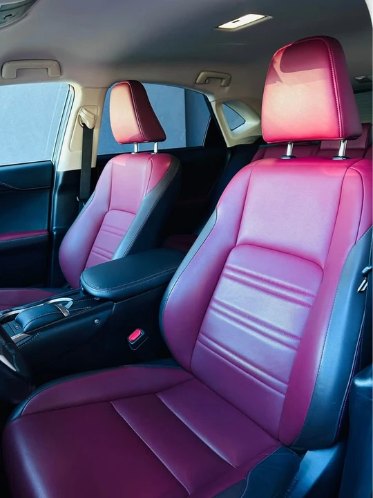 2018 Lexus NX 1st Gen - Image 9 of 10