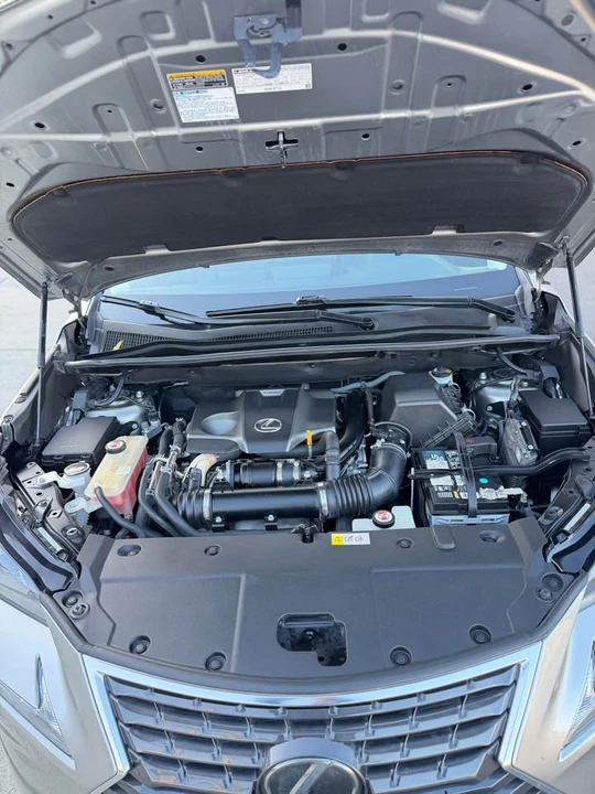 2018 Lexus NX 1st Gen - Image 10 of 10