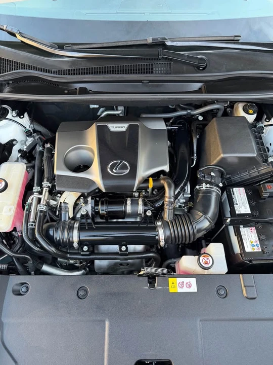 2018 Lexus NX 1st Gen - Image 17 of 17