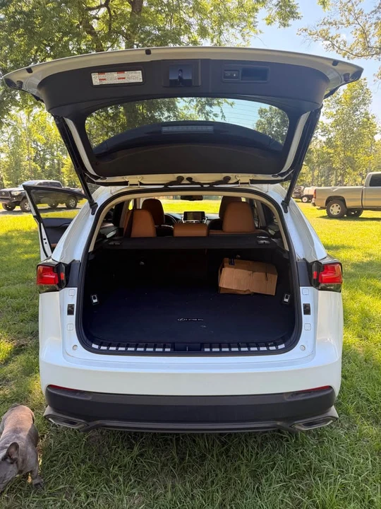 2018 Lexus NX 1st Gen - Image 12 of 21