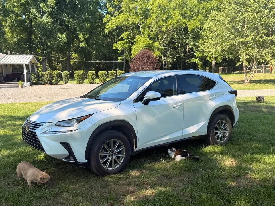 2018 Lexus NX 1st Gen - Image 5 of 21