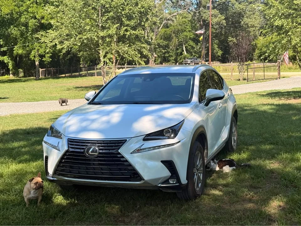 2018 Lexus NX 1st Gen - Image 2 of 21