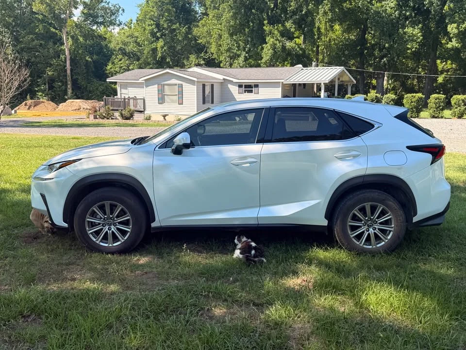 2018 Lexus NX 1st Gen - Image 6 of 21