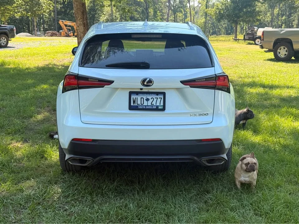 2018 Lexus NX 1st Gen - Image 7 of 21