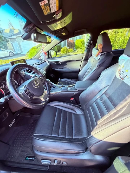 2018 Lexus NX 1st Gen - Image 4 of 11