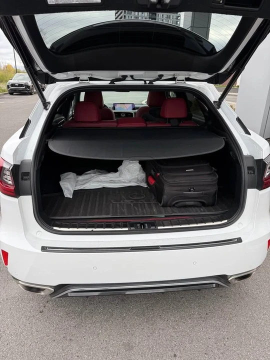 2018 Lexus RX 4th Gen - Image 10 of 11