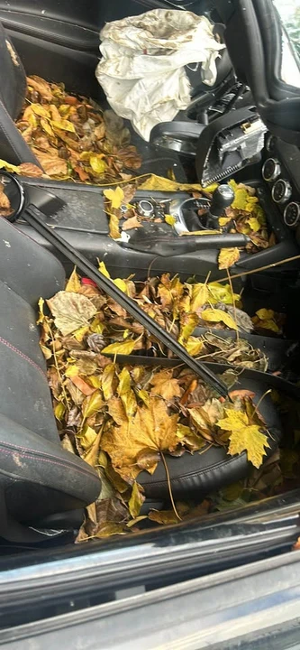 2018 Mazda ND MX-5 Miata - Image 6 of 6