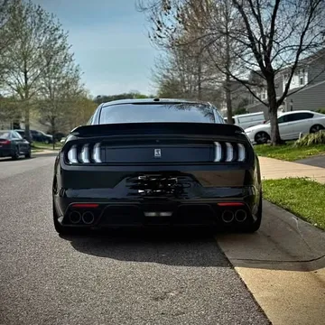 Shelby GT 350 Stock Parts