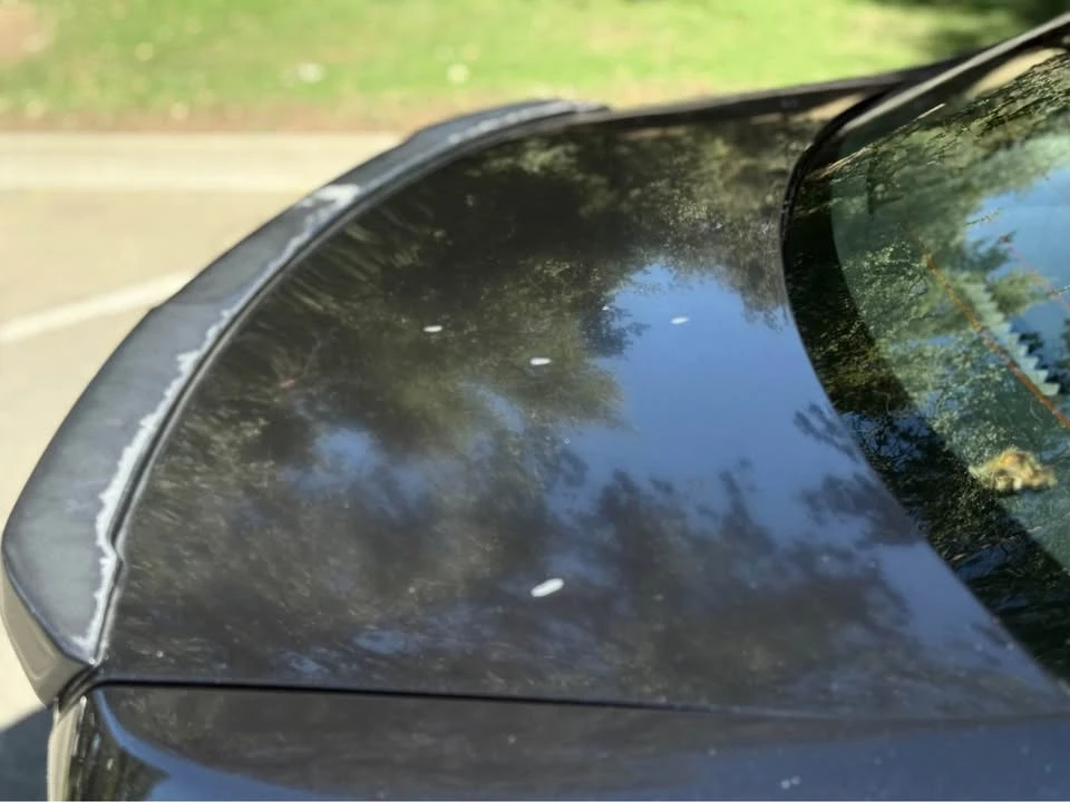 2018 Subaru Impreza WRX 4th Gen - Image 14 of 19