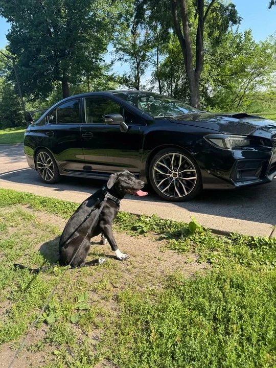 2018 Subaru Impreza WRX 3rd Gen - Image 2 of 5
