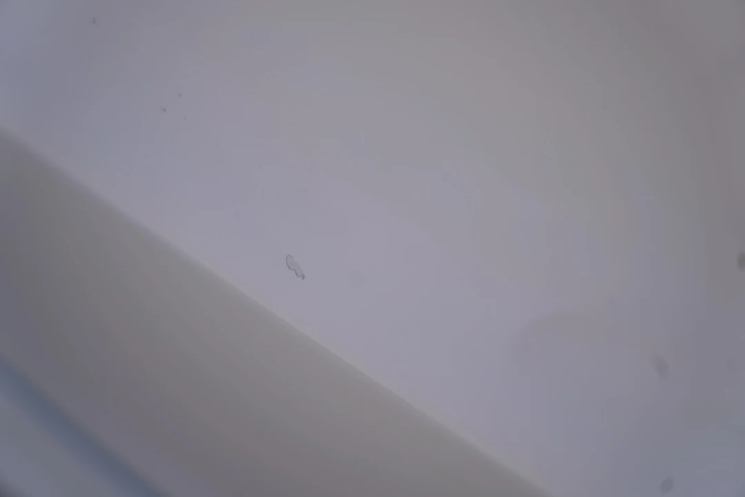 2018 Tesla Model 3 - Image 31 of 31