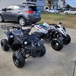 2018 Yamaha Raptor 90