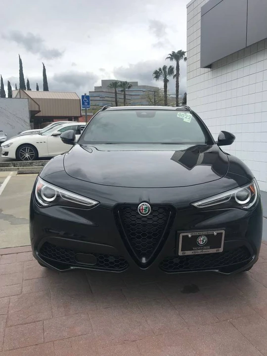 2019 Alfa Romeo Stelvio - Image 8 of 8