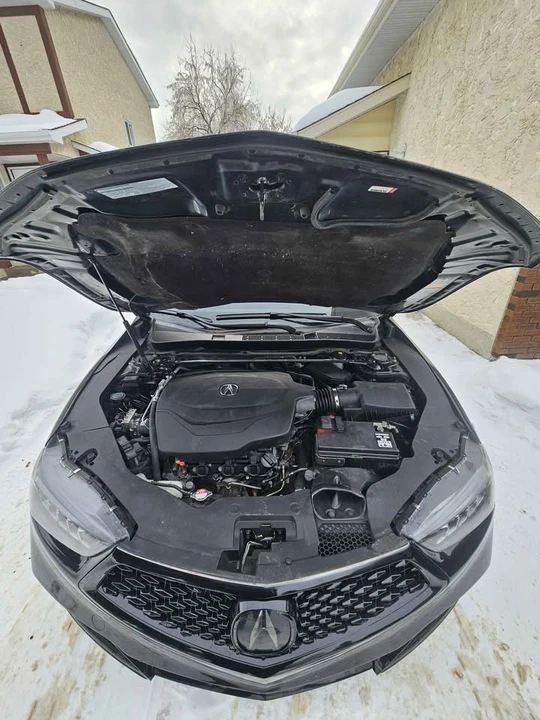 2019 Acura TLX 1st Gen - Image 11 of 11