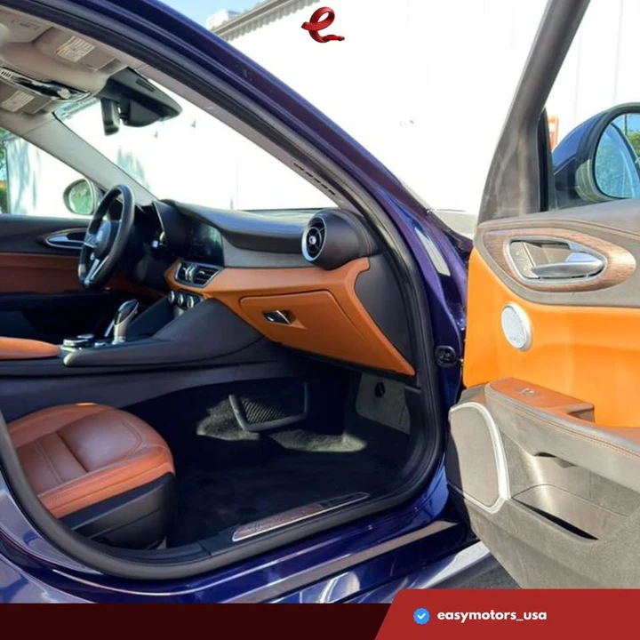2019 Alfa Romeo Giulia - Image 15 of 19