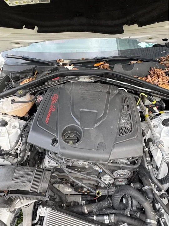 2019 Alfa Romeo Giulia - Image 11 of 12