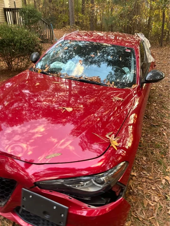 2019 Alfa Romeo Giulia - Image 8 of 15