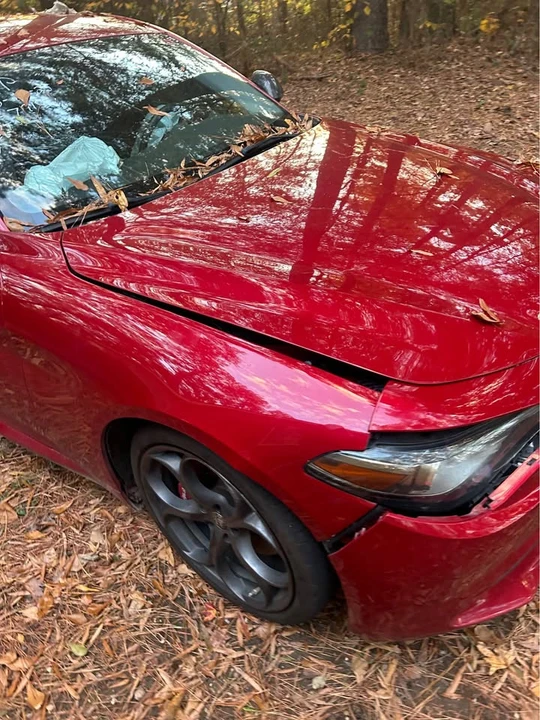 2019 Alfa Romeo Giulia - Image 5 of 15