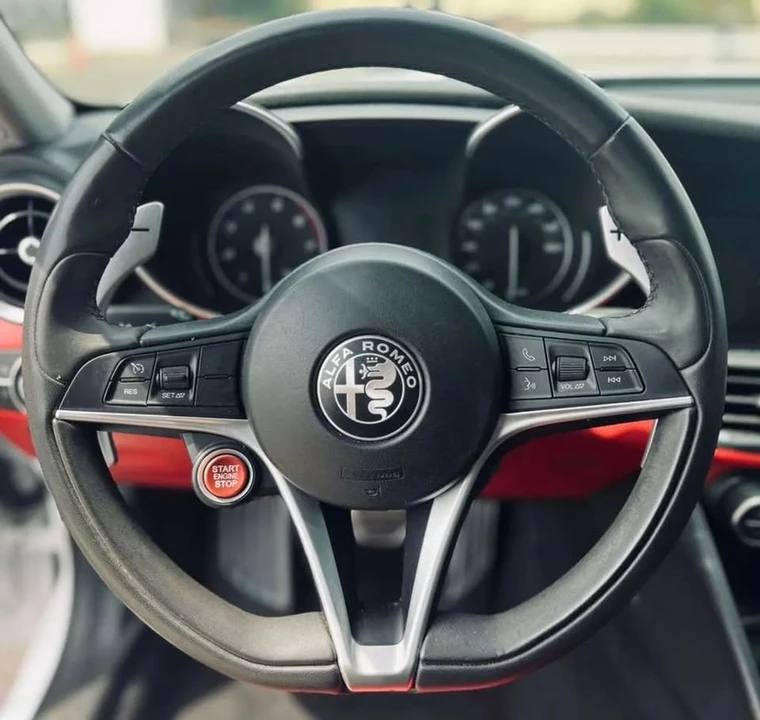 2019 Alfa Romeo Giulia - Image 18 of 19