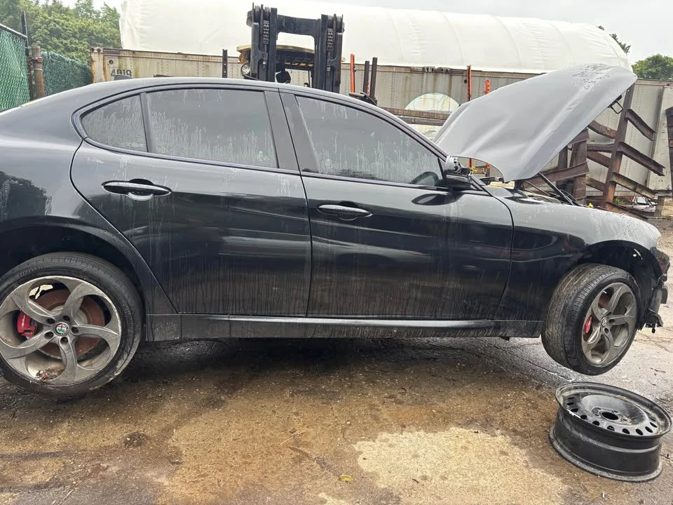 2019 Alfa Romeo Giulia - Image 11 of 12