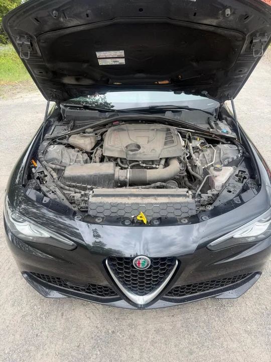 2019 Alfa Romeo Giulia - Image 9 of 20