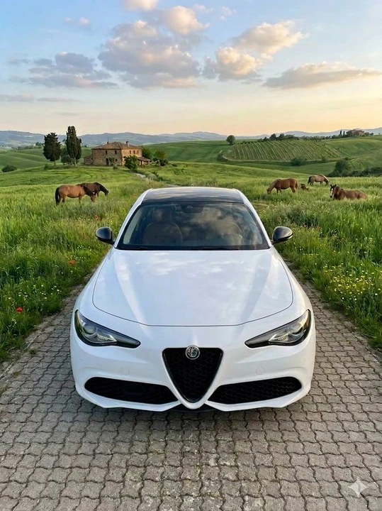 2016 Alfa Romeo Giulia - Image 23 of 24