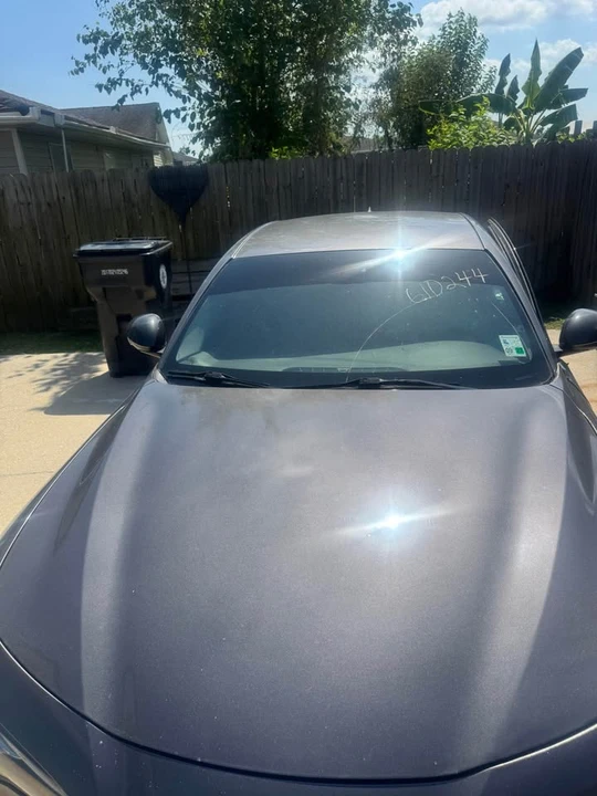 2019 Alfa Romeo Giulia - Image 6 of 11