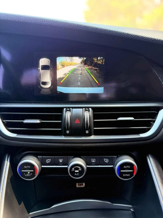 2019 Alfa Romeo Giulia - Image 18 of 20