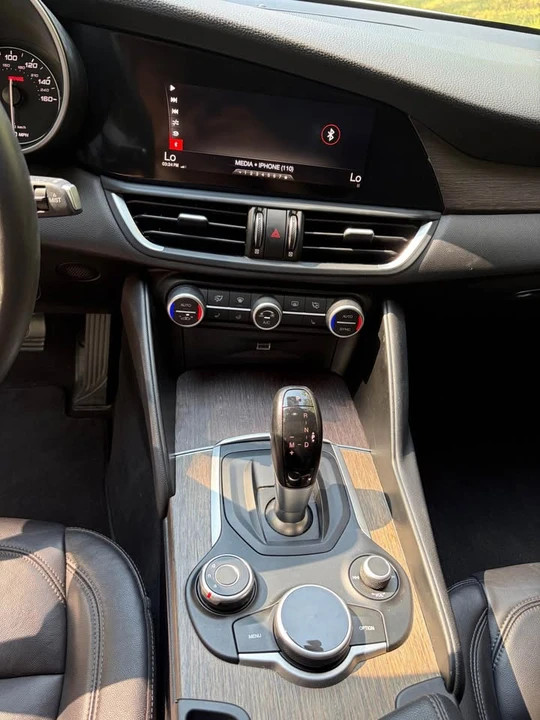 2019 Alfa Romeo Giulia - Image 15 of 17