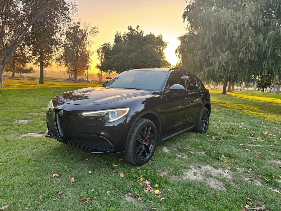2019 Alfa Romeo Stelvio - Image 2 of 20