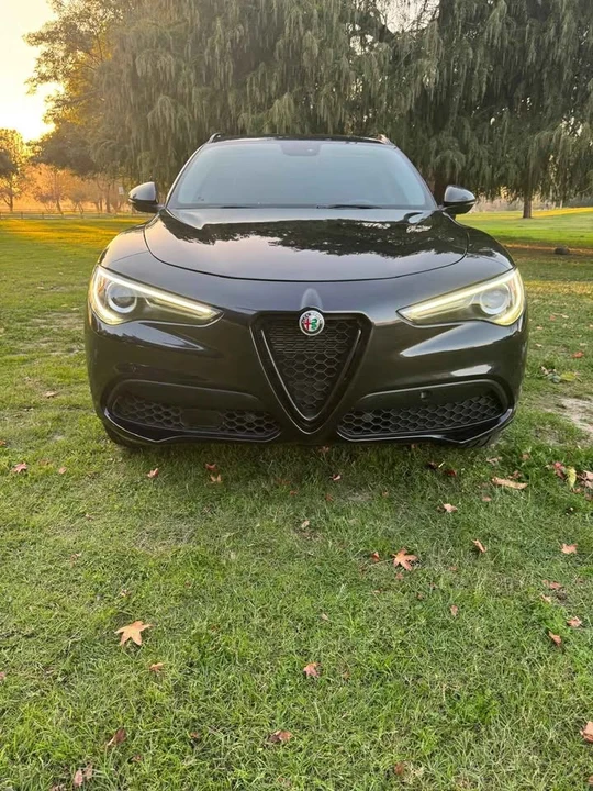2019 Alfa Romeo Stelvio - Image 5 of 20