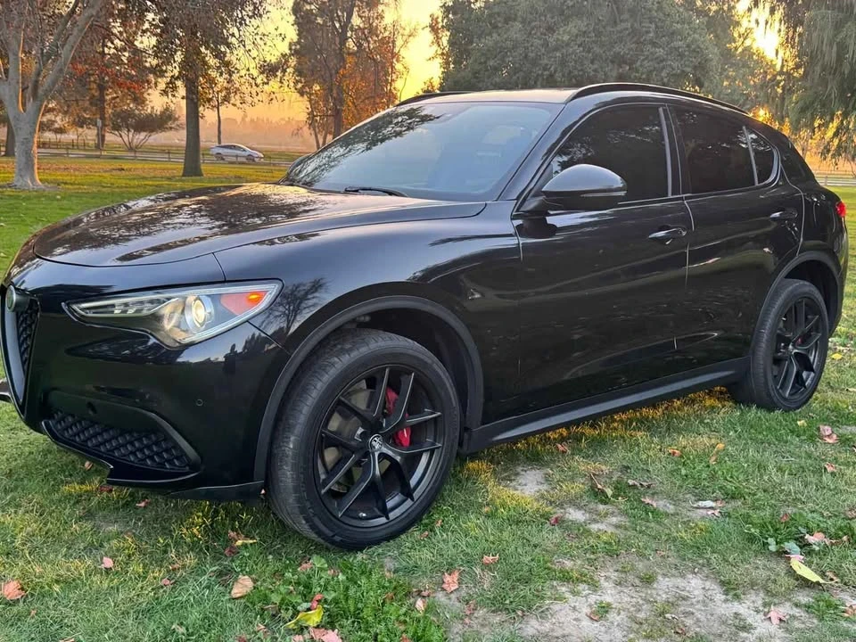 2019 Alfa Romeo Stelvio - Image 20 of 20