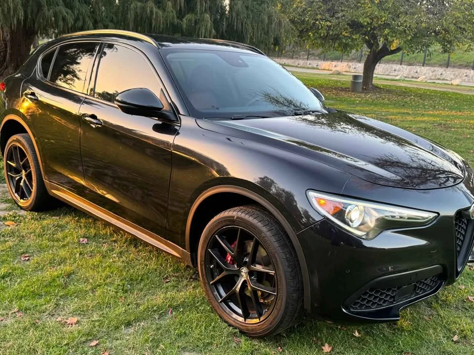 2019 Alfa Romeo Stelvio - Image 4 of 20