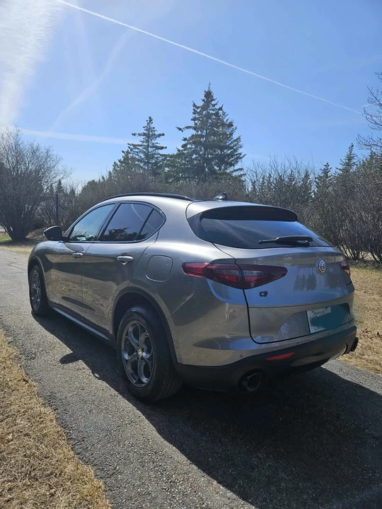 2019 Alfa Romeo Stelvio - Image 11 of 15
