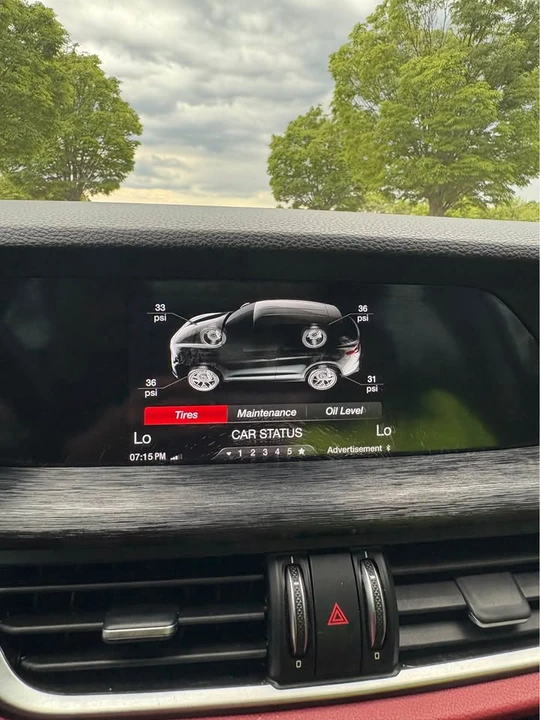 2019 Alfa Romeo Stelvio - Image 16 of 21