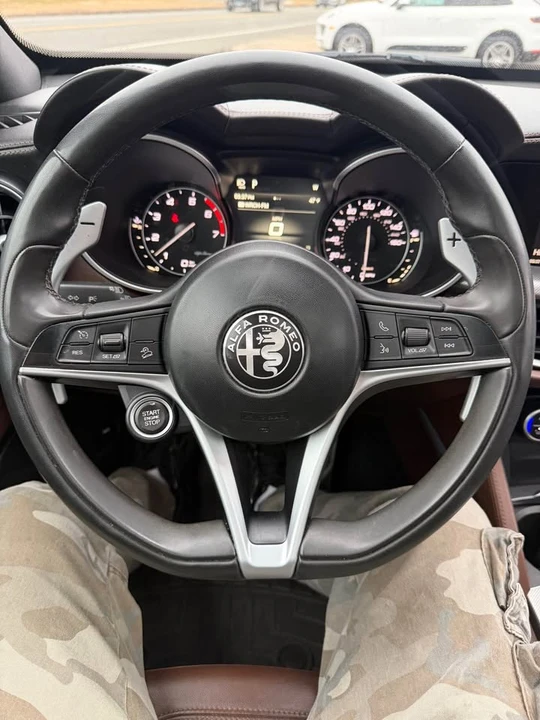 2019 Alfa Romeo Stelvio - Image 9 of 19