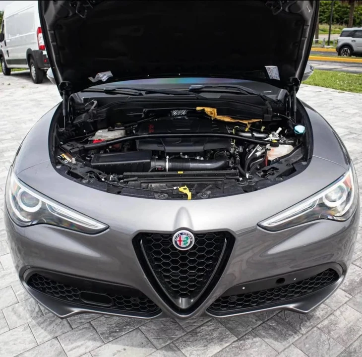 2019 Alfa Romeo Stelvio - Image 19 of 19