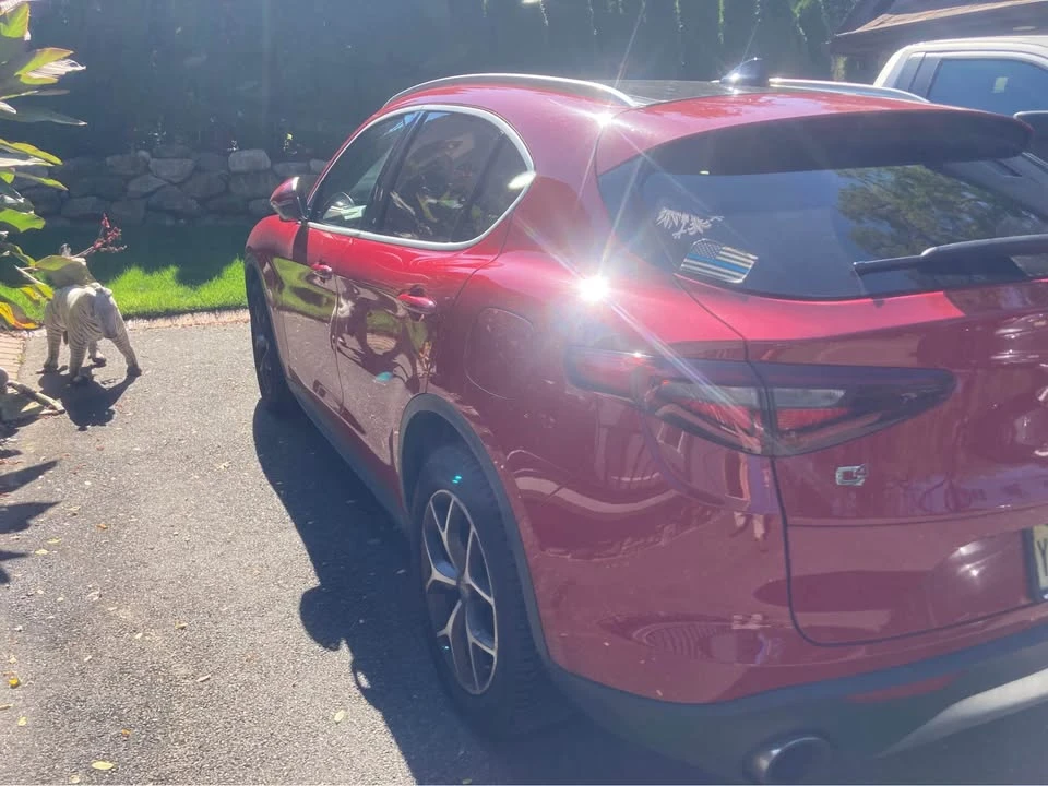 2019 Alfa Romeo Stelvio - Image 4 of 9