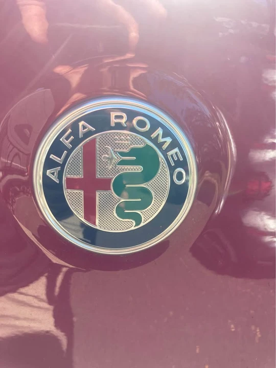 2019 Alfa Romeo Stelvio - Image 2 of 9