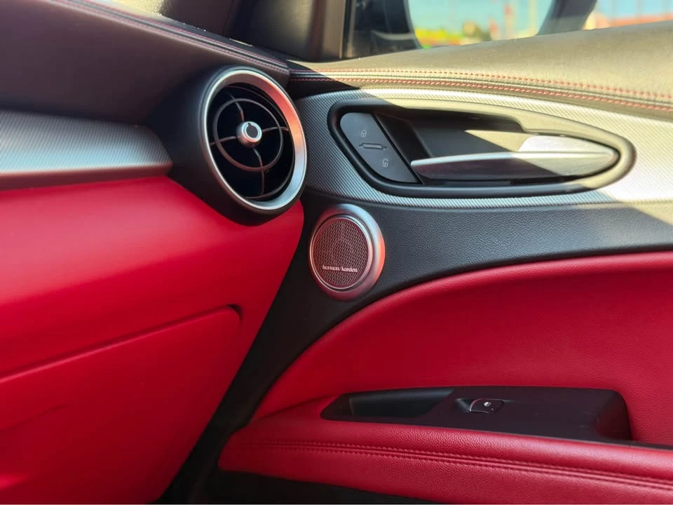 2019 Alfa Romeo Stelvio - Image 19 of 19