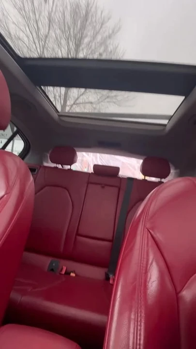 2019 Alfa Romeo Stelvio - Image 19 of 19
