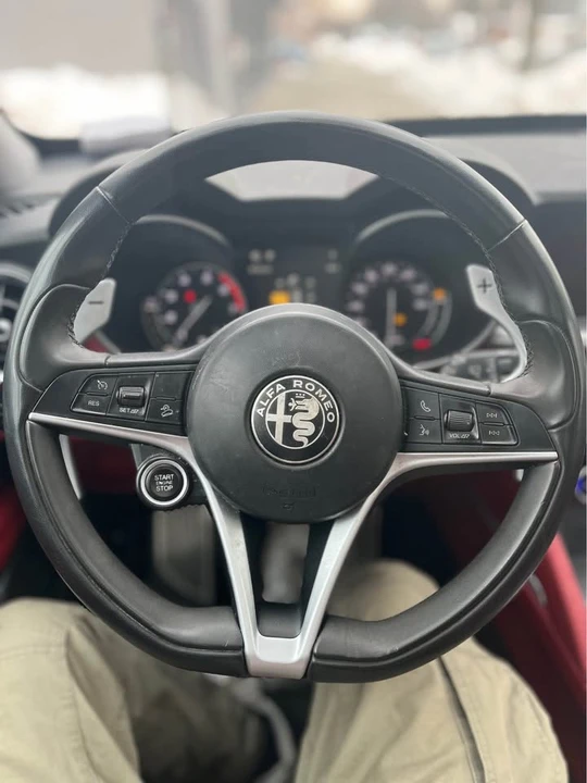 2019 Alfa Romeo Stelvio - Image 13 of 19